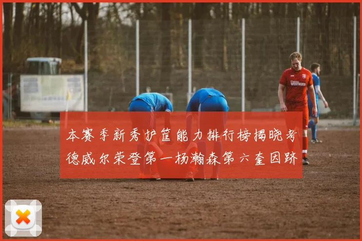 本赛季新秀护筐能力排行榜揭晓考德威尔荣登第一杨瀚森第六奎因跻身前十