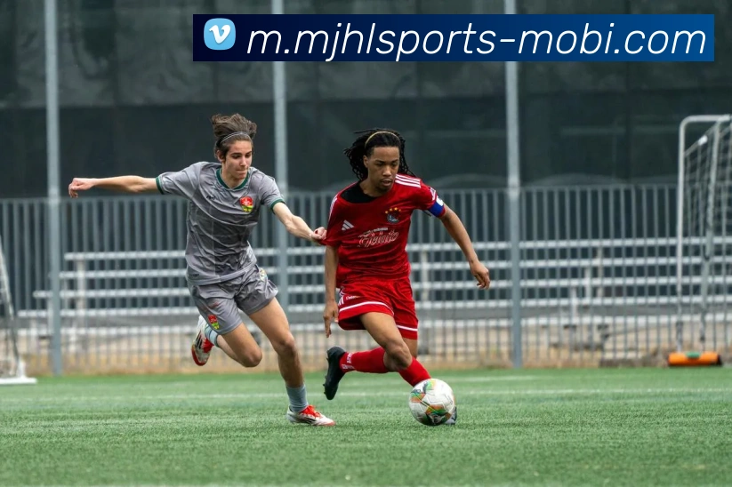 麻将胡了发展历程